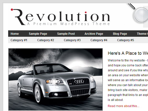 revolution-30 theme websites examples