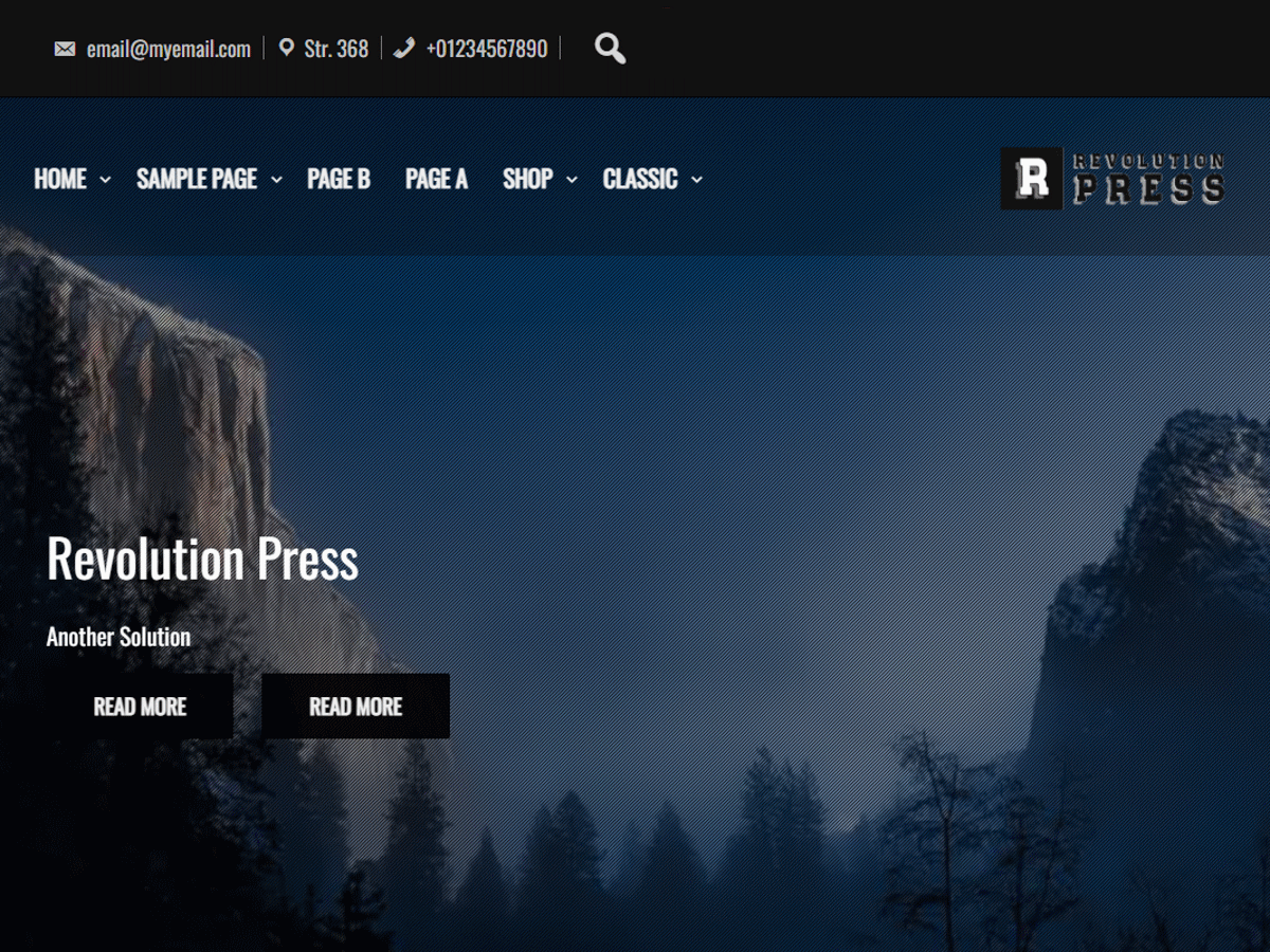 revolution-press theme websites examples