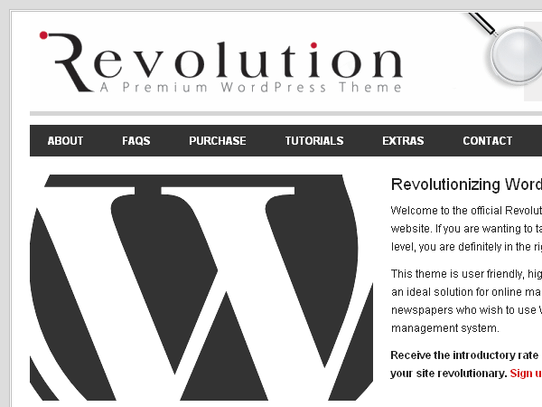 Revolution website example screenshot