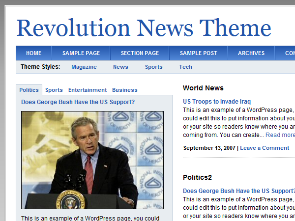 revolution_news-21 theme websites examples