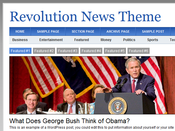 revolution_news-30 theme websites examples