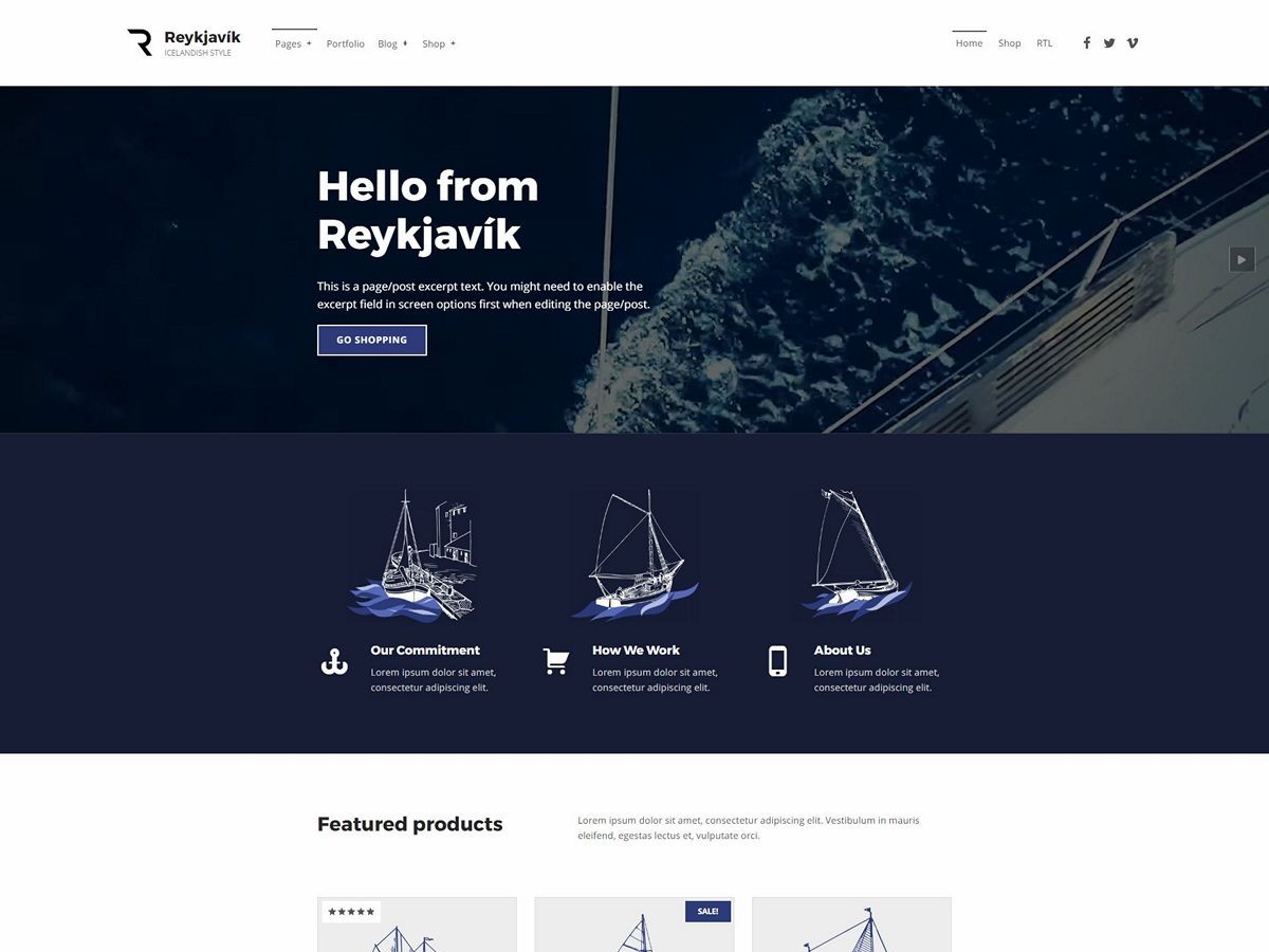 Reykjavik theme websites examples