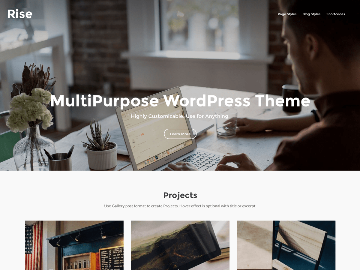 risewp theme websites examples