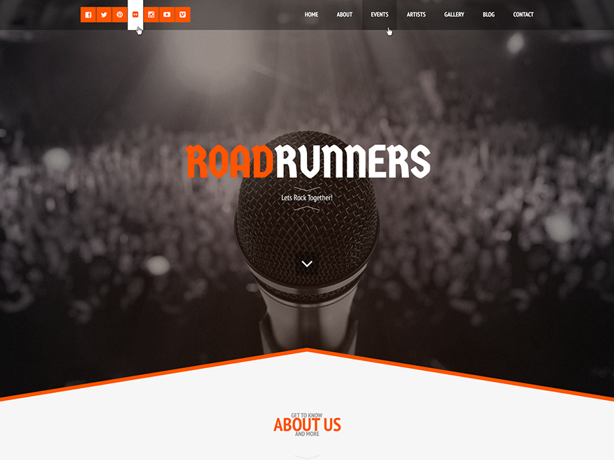 roadrunners-theme theme websites examples