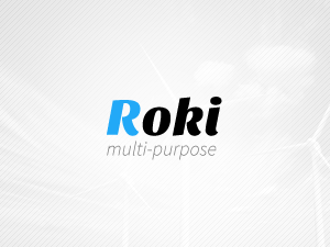 roki theme websites examples