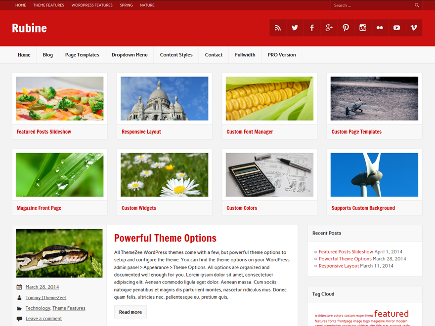 rubine theme websites examples