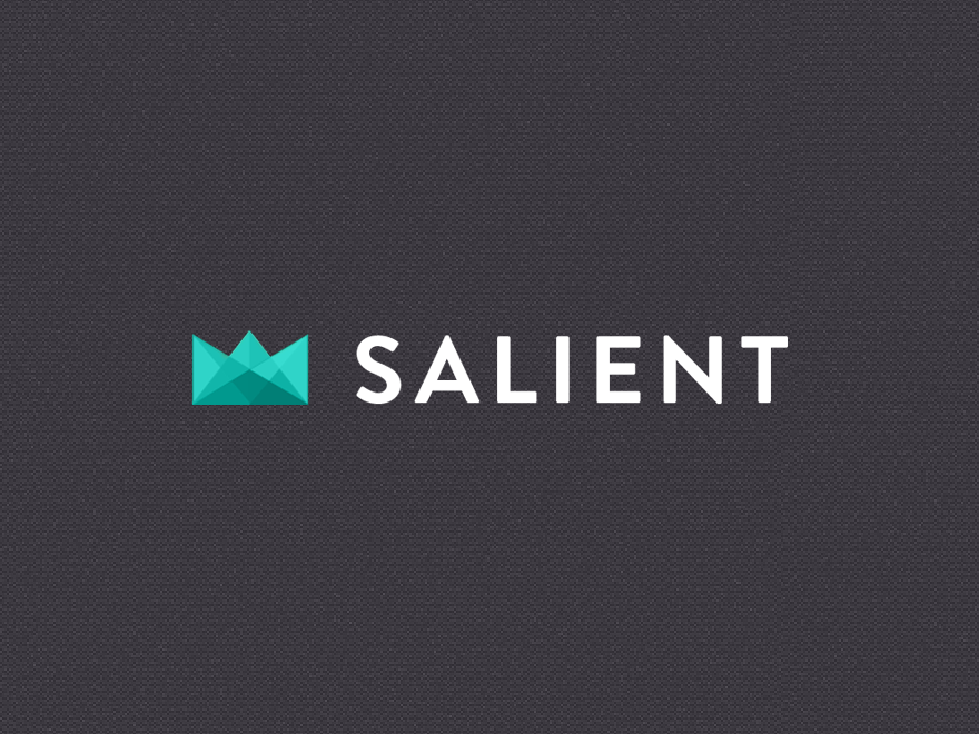salient-new theme websites examples