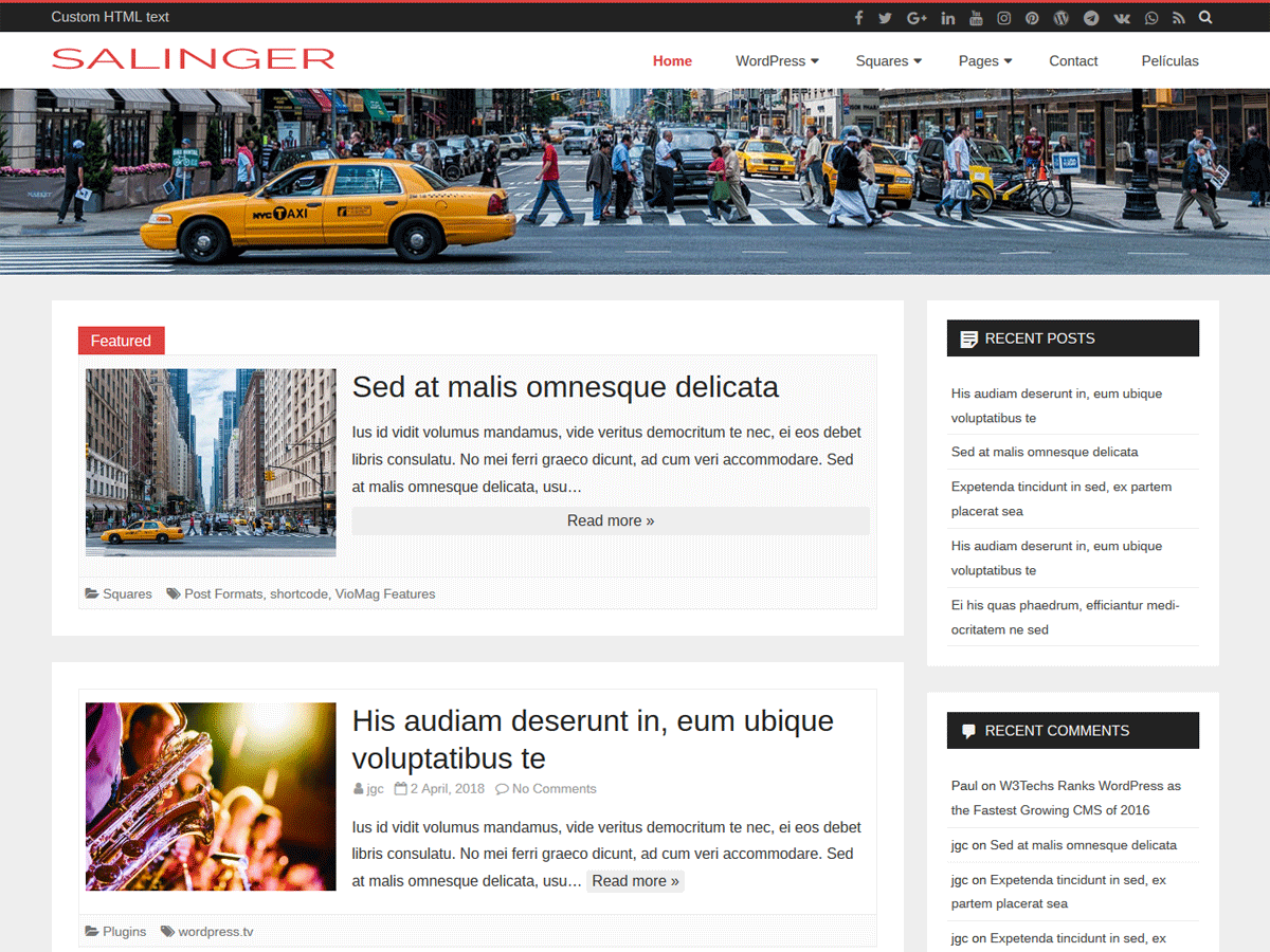 salinger WordPress theme, websites list used salinger theme salinger theme websites examples