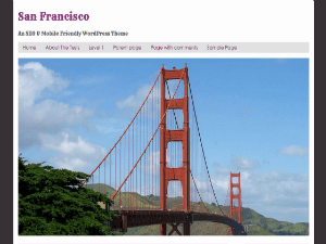 San Francisco theme websites examples