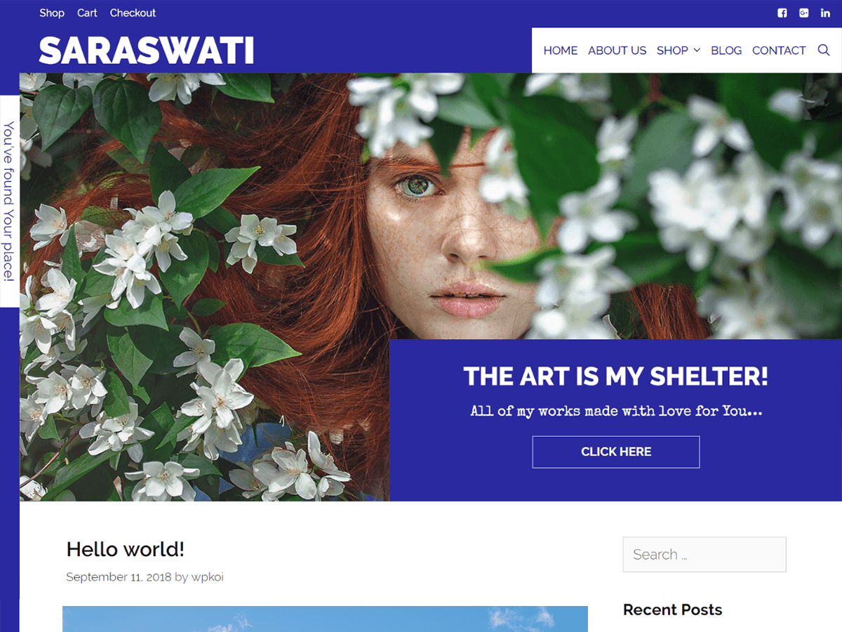 saraswati theme websites examples