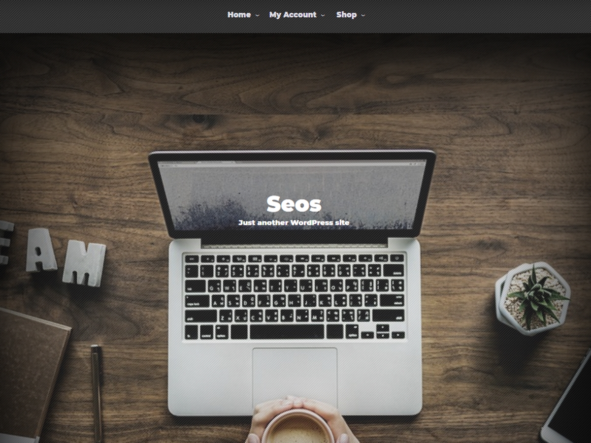 seos theme websites examples