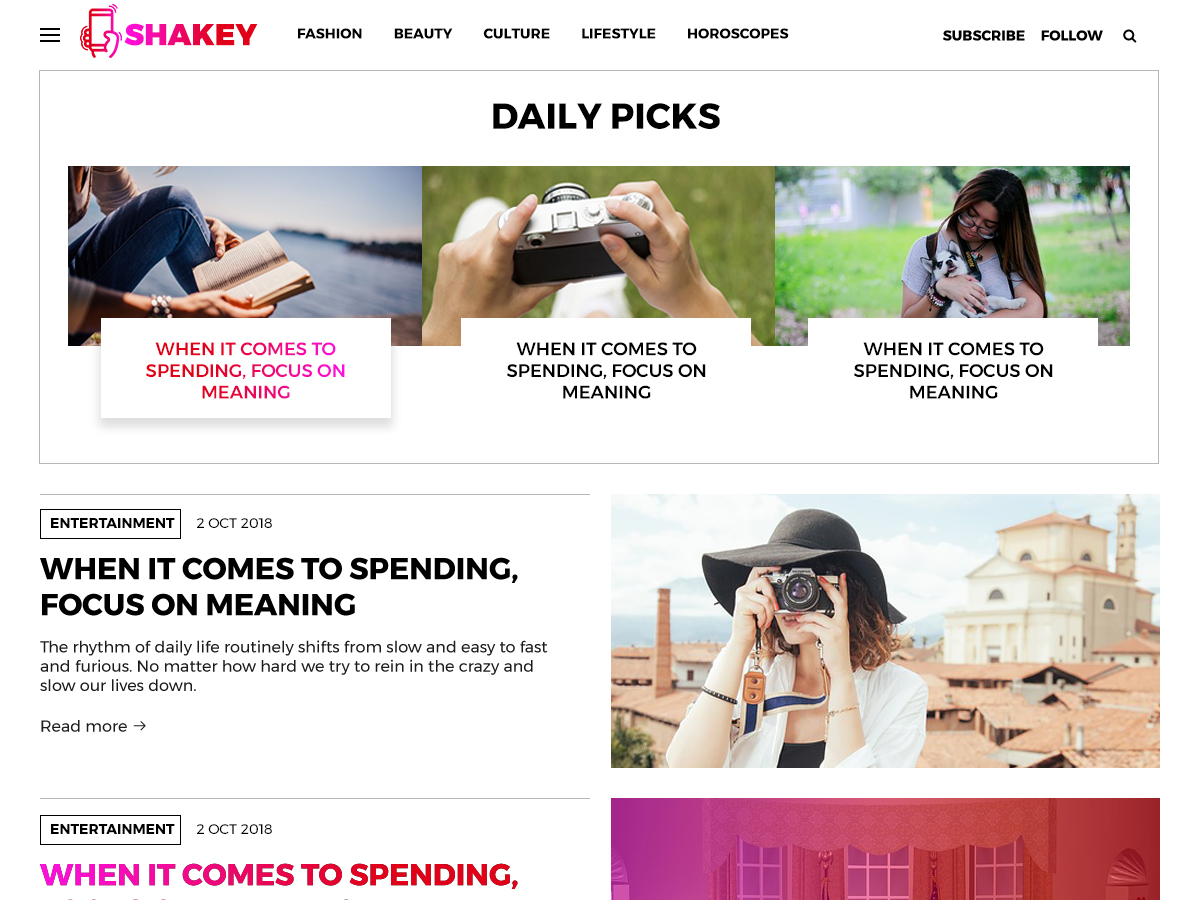 Shakey theme websites examples