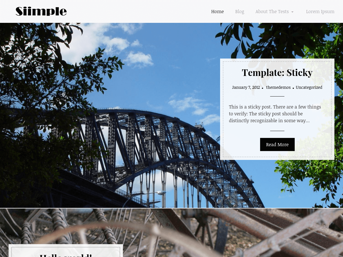 siimple theme websites examples