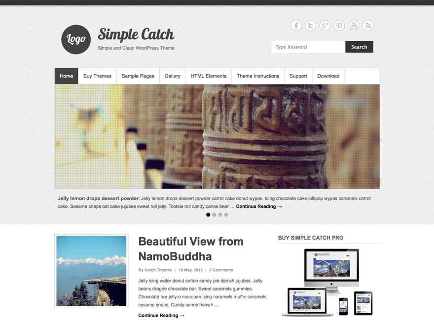 Simple Catch website example screenshot