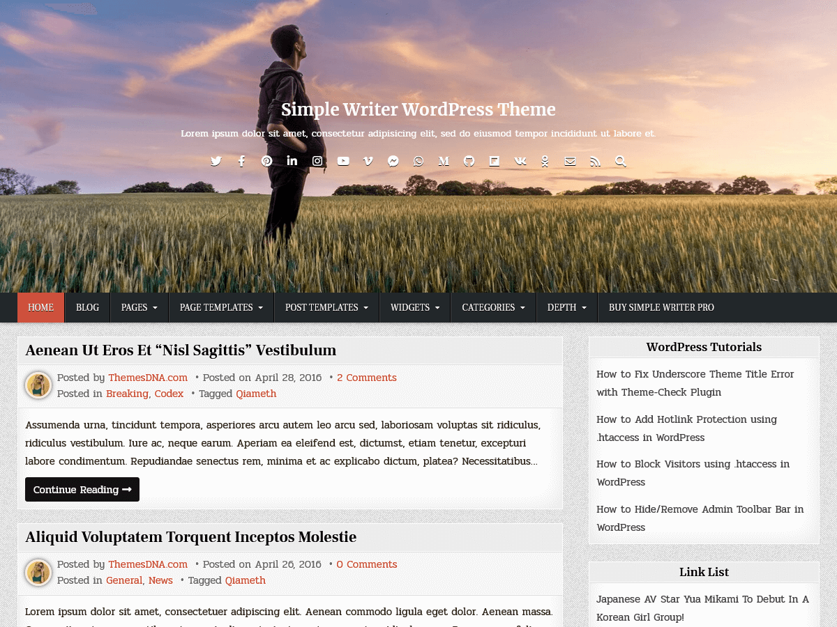 simple-writer WordPress theme, websites list used simple-writer theme simple-writer theme websites examples