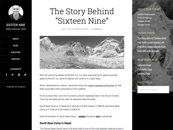 Sixteen Nine Pro Theme website example screenshot