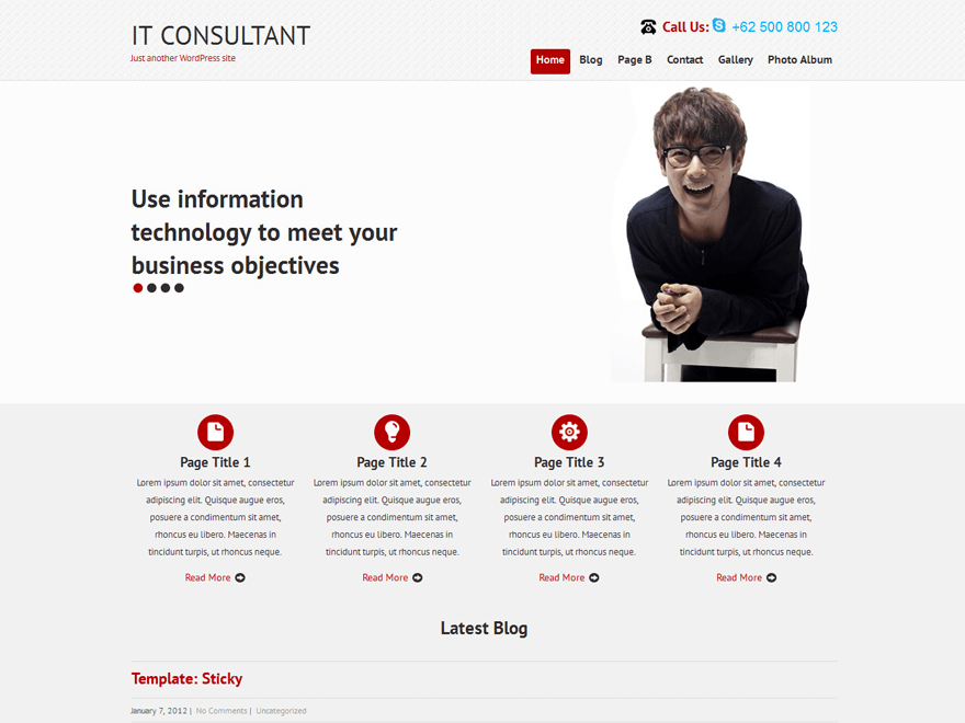 SKT IT Consultant website example screenshot