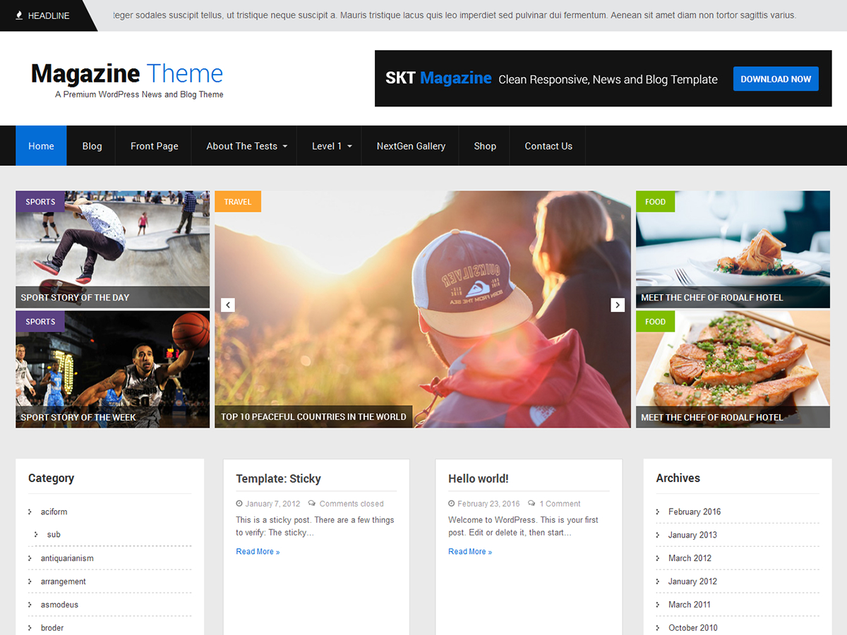 SKT Magazine theme websites examples
