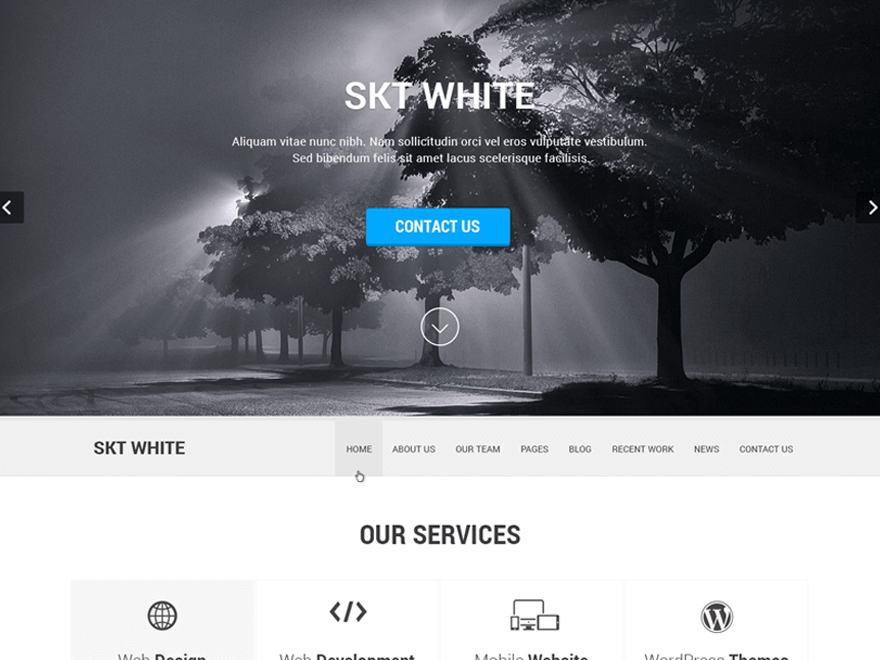 SKT White website example screenshot