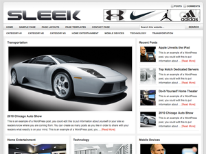 Sleek website example screenshot