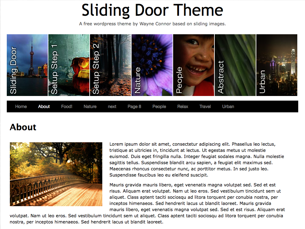 Sliding Door website example screenshot