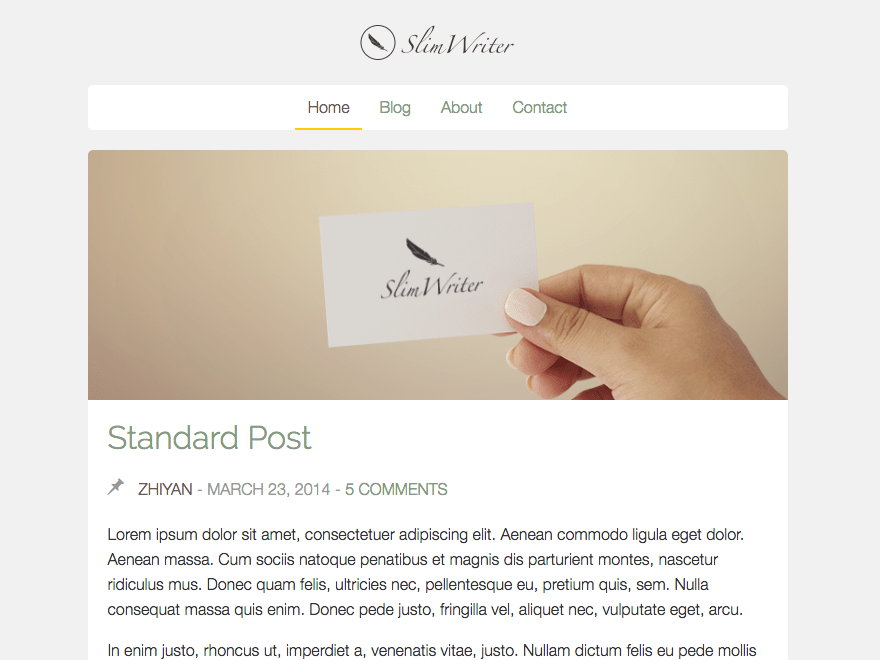 SlimWriter theme websites examples