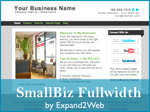 Smallbiz website example screenshot