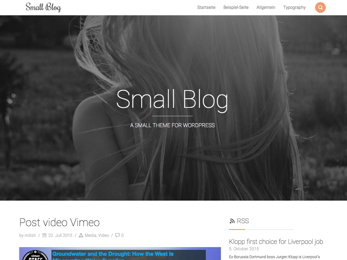 Smallblog theme websites examples