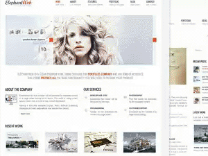 Smartvision theme websites examples