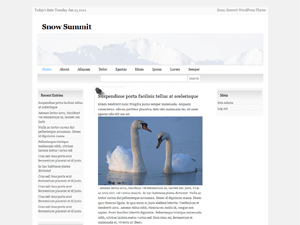 Snow Summit website example screenshot