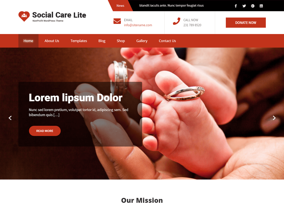 social-care-lite theme websites examples