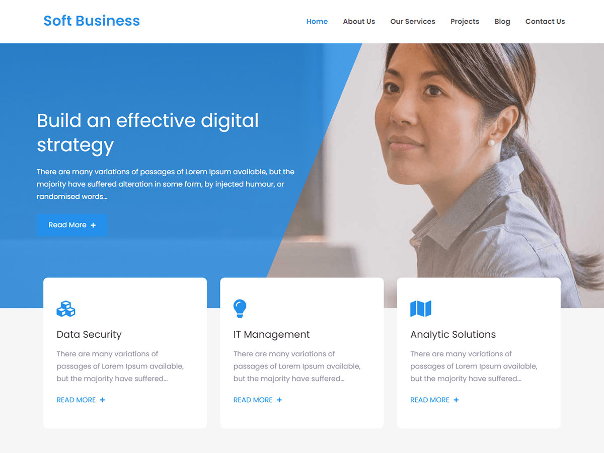 soft-business theme websites examples