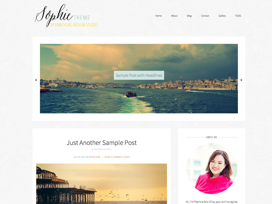 sophie theme websites examples