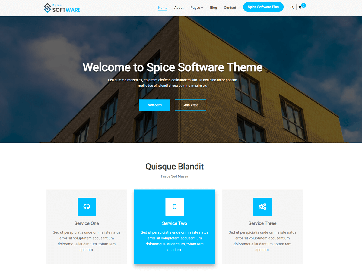 spice-software theme websites examples