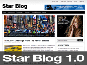 Star Blog theme websites examples