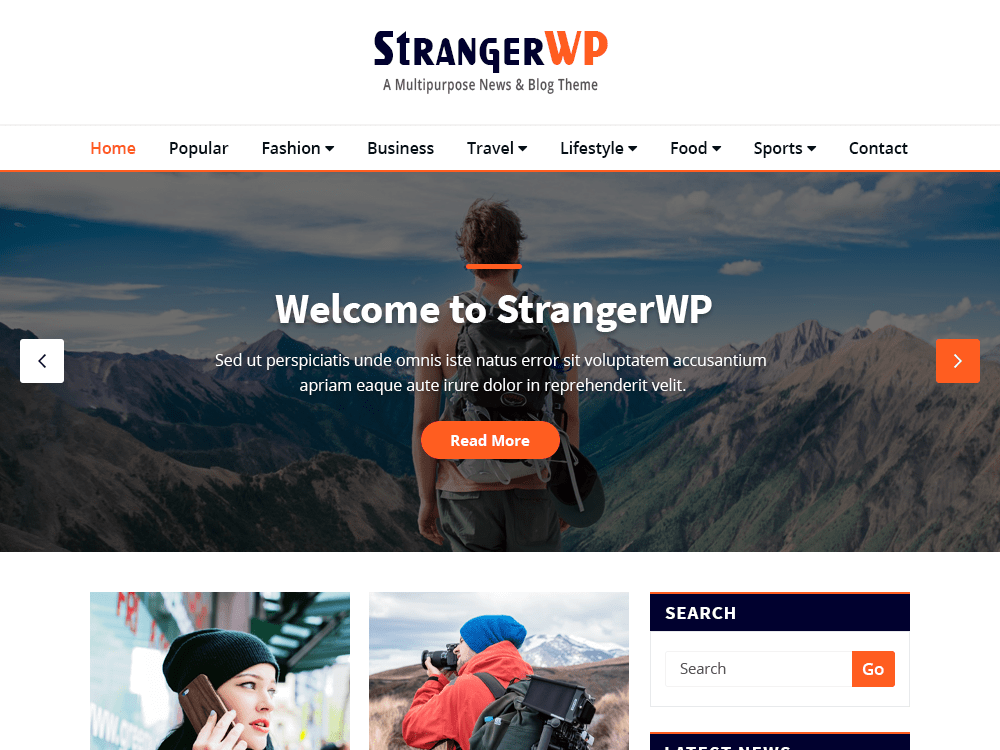 strangerwp theme websites examples