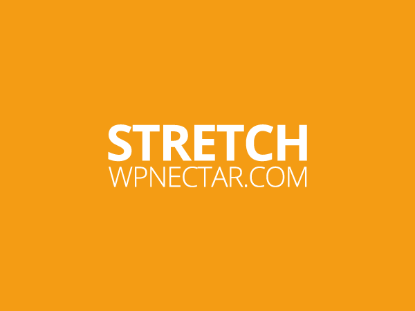 Stretch website example screenshot