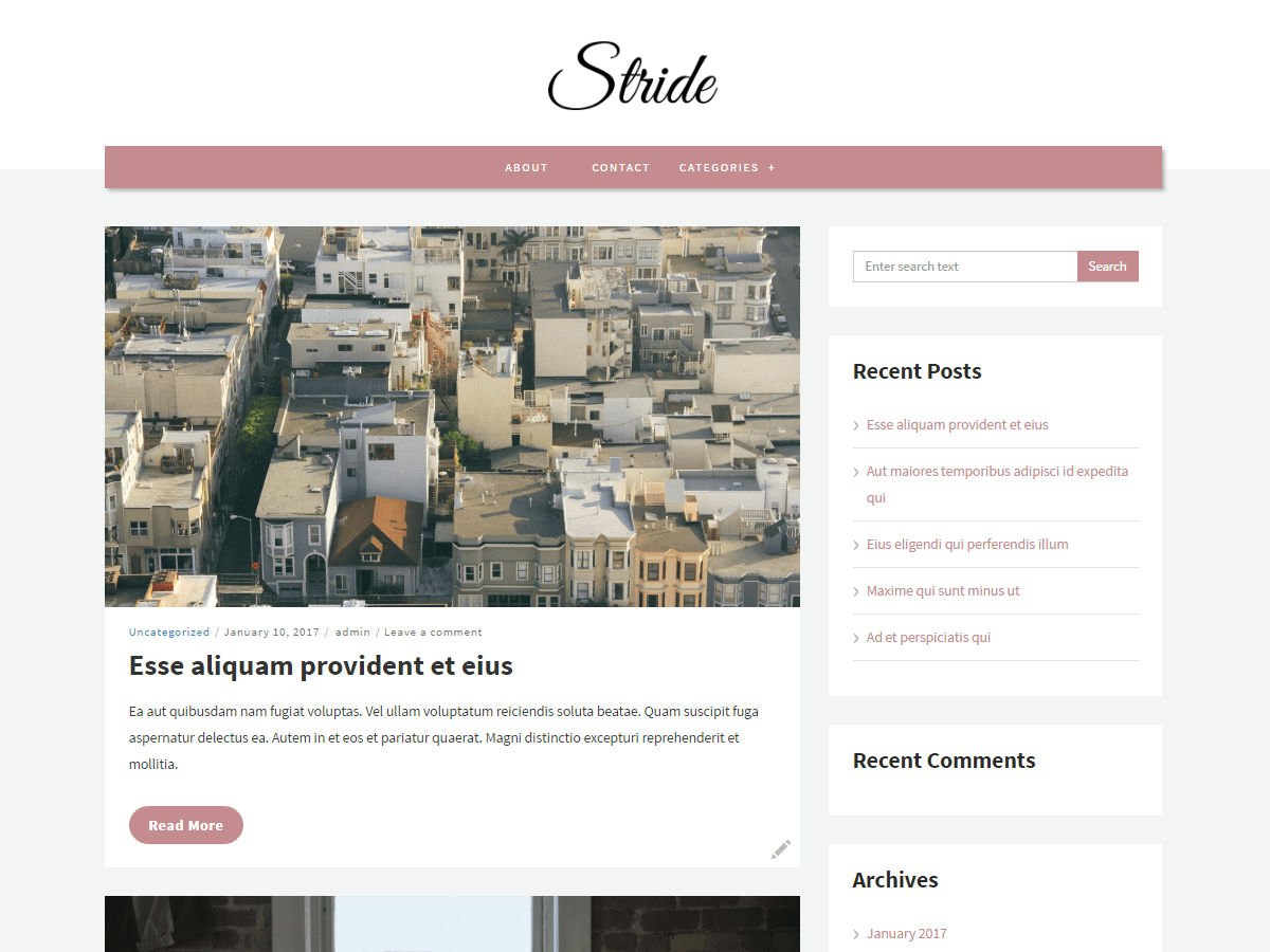 stride-lite theme websites examples