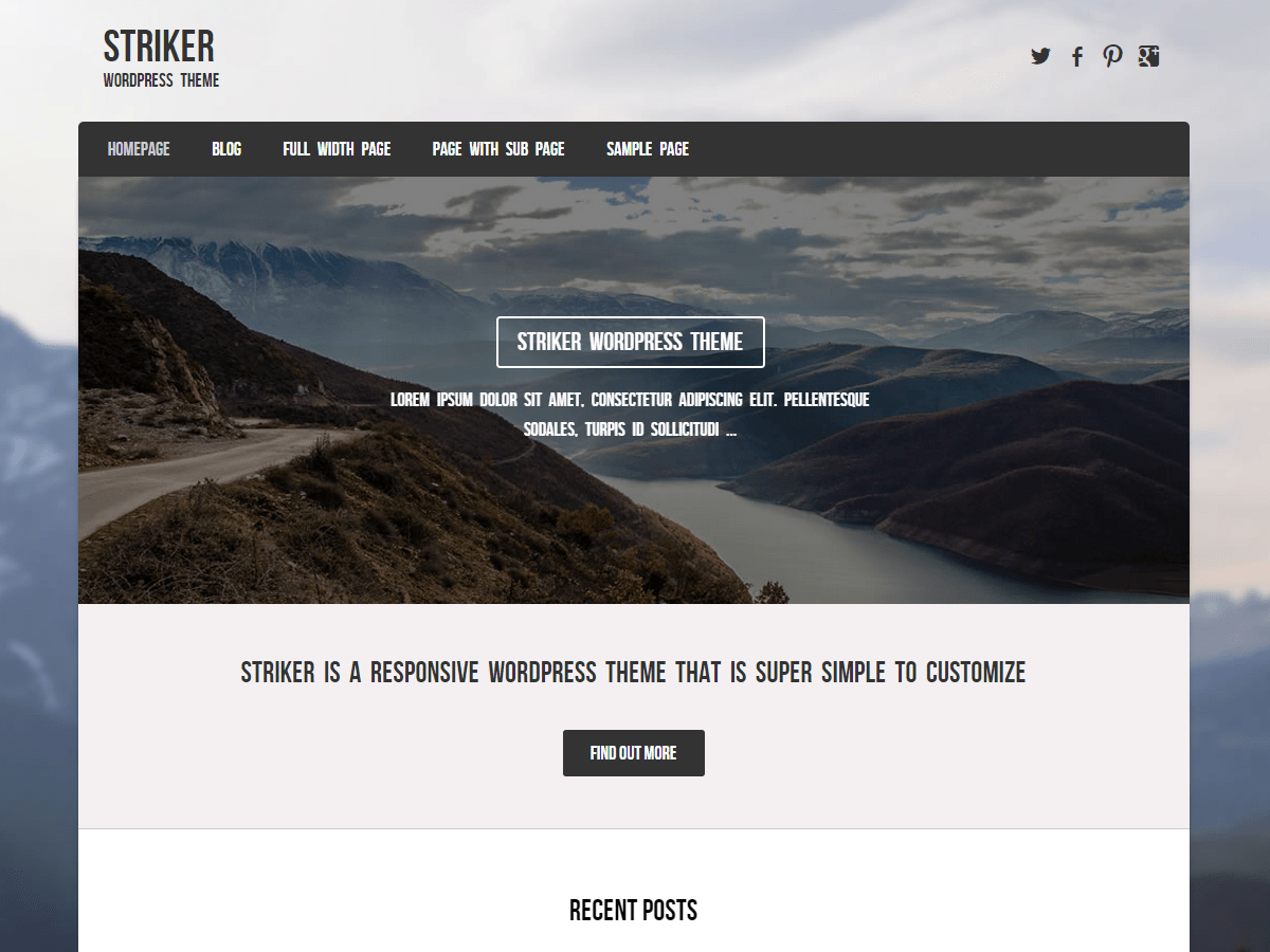 Striker website example screenshot