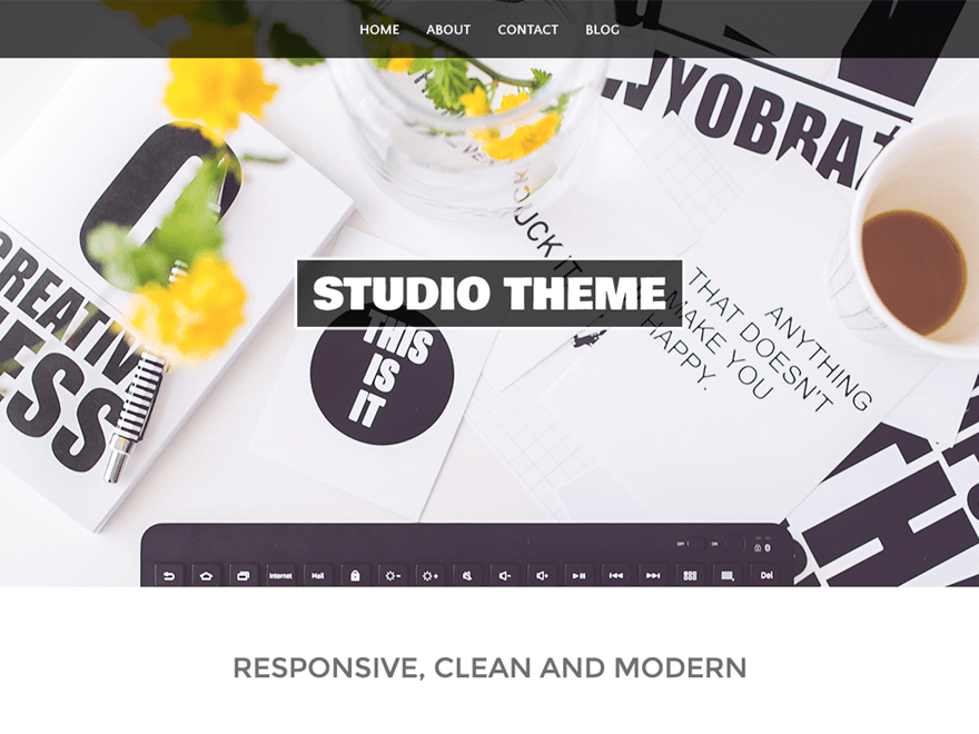 Studio theme websites examples