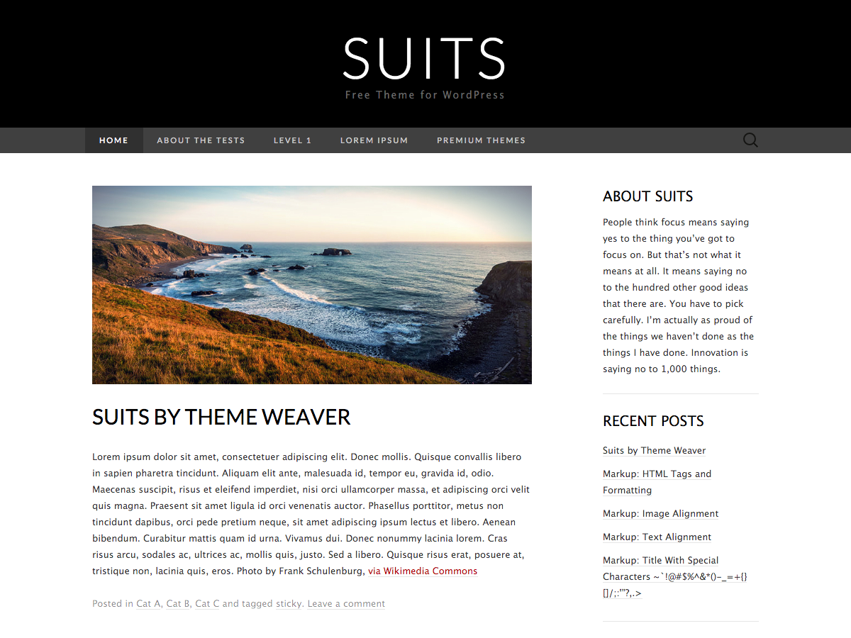 Suits website example screenshot