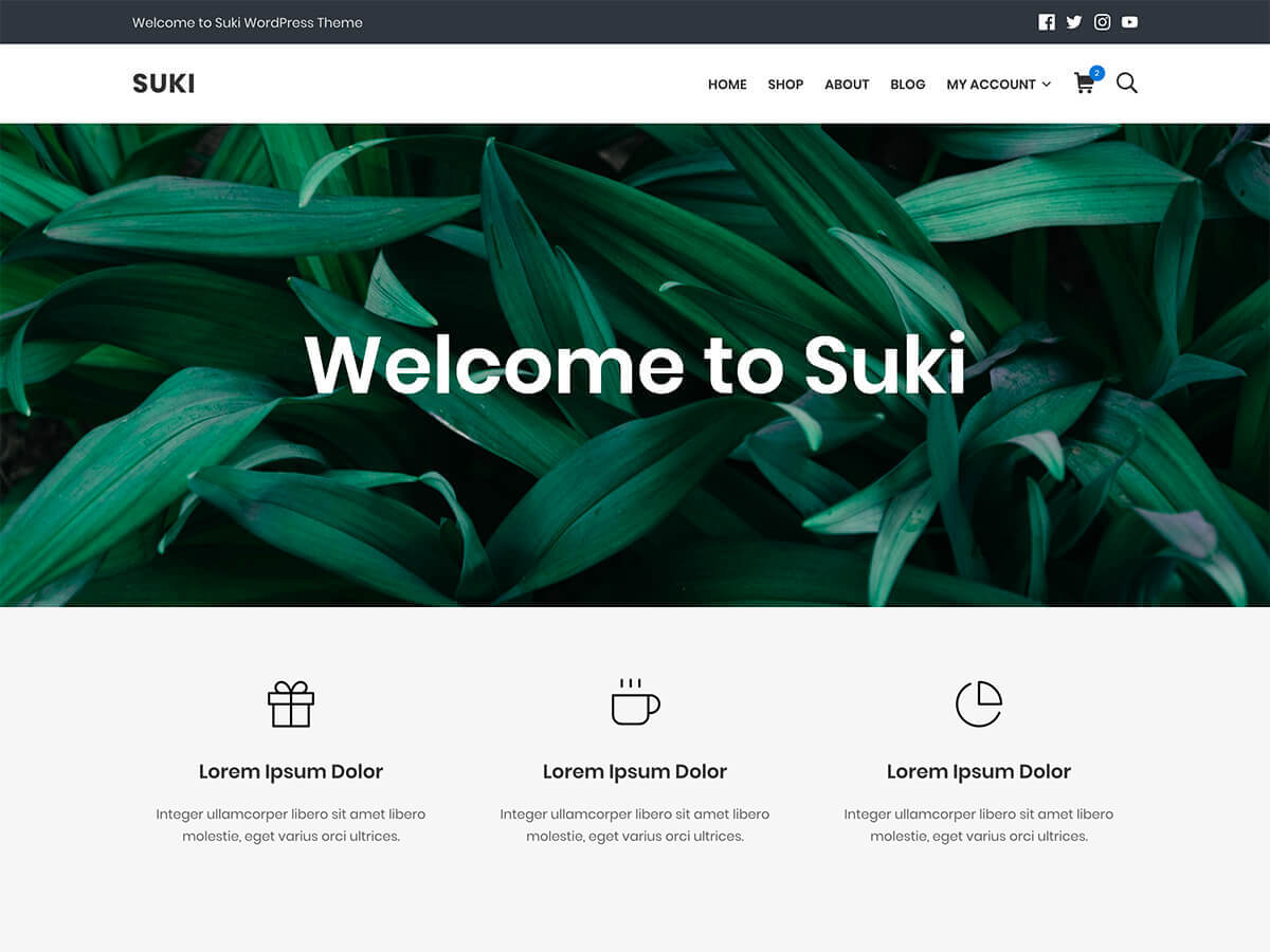 Suki website example screenshot