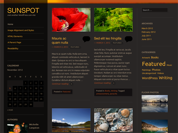 Sunspot website example screenshot