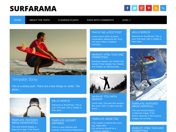 Surfarama website example screenshot