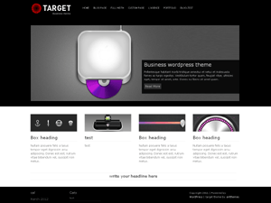 Target website example screenshot
