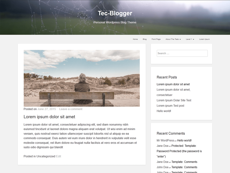 tecblogger website example screenshot