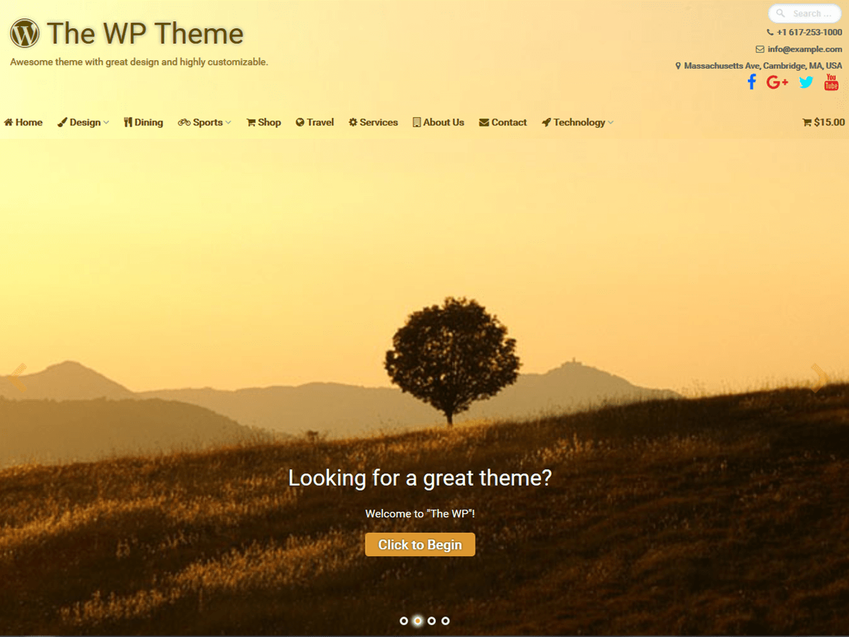 The WP theme websites examples
