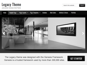 themehotel theme websites examples