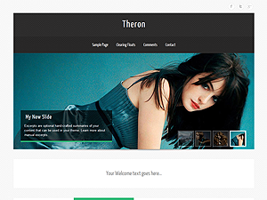 theron_lite theme websites examples