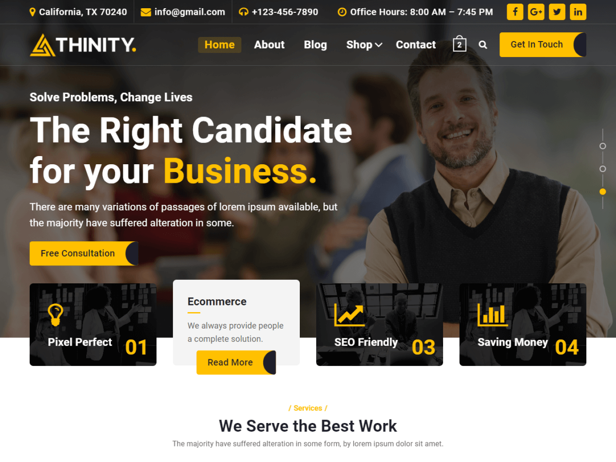 thinity theme websites examples